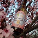 AIXPRESSION BLONDE ROSE Brasserie Aixpression Brasserie Aixpression